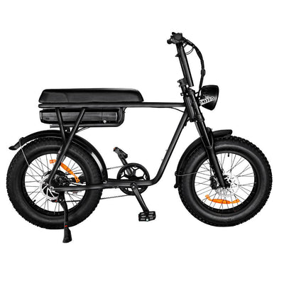 EBYKE® MOTO Fat Tire Step-Over 750W 48V Vintage Retro Electric Beach Cruiser 20"x4.0 Bike E-Bike Bicycle - EBYKE Electric Bikes