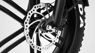EBYKE® CHALLENGER Fat Tire Moped Style 750W 48V Electric Beach Cruiser 20"x4.0 Moto Bike E-Bike Bicycle - EBYKE Electric Bikes
