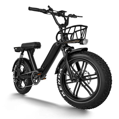 EBYKE® CHALLENGER Fat Tire Moped Style 750W 48V Electric Beach Cruiser 20"x4.0 Moto Bike E-Bike Bicycle - EBYKE Electric Bikes